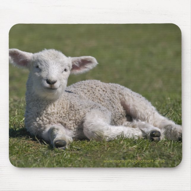 Cute Lamb Mousemat (Front)