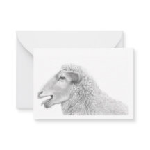 Cute Lamb Note Card