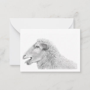 Cute Lamb Note Card