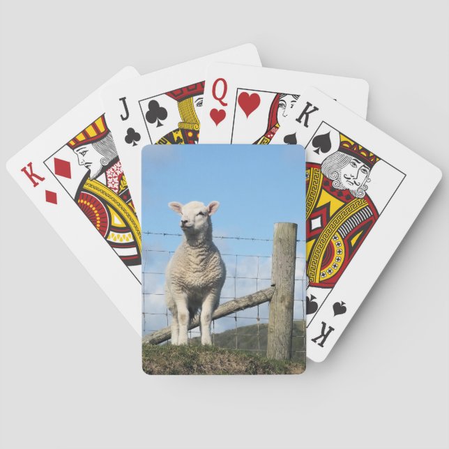 CUTE LAMB   PLAYING CARDS (Back)