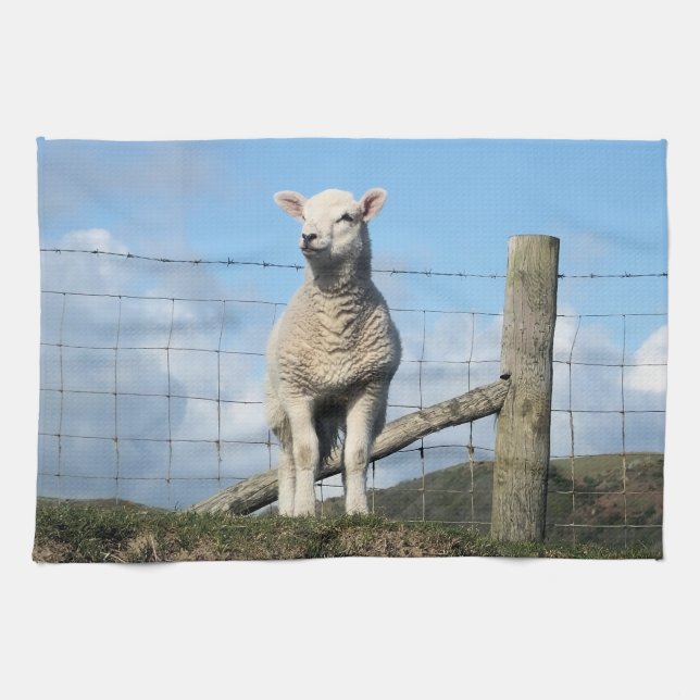 CUTE LAMB  TEA TOWEL (Horizontal)