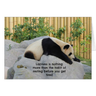 Cute Lazy Day Panda