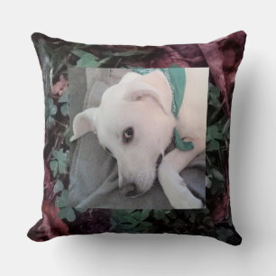 Cute Lazy White Dog Shamrock Clover Photo Cushion