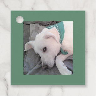 Cute Lazy White Dog Wearing Green Scarf Gift Favour Tags