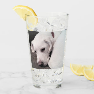 Cute Lazy White Labrador Retriever Mix Dog Glass