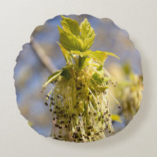 Cute leaves in spring photo round cushion