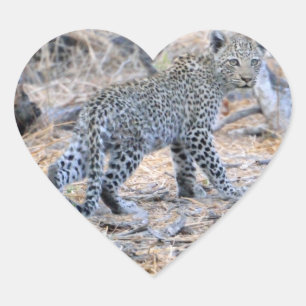 Cute Leopard On The Prowl Heart Sticker