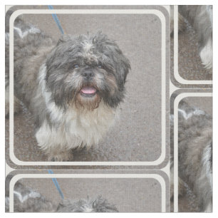Cute Lhasa Apso Fabric