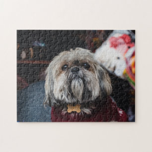 Cute lhasa apso puppy at Christmas b Jigsaw Puzzle