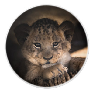 Cute lion cub ceramic knob