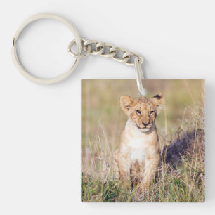 Cute lion cub in Africa photo Key Ring