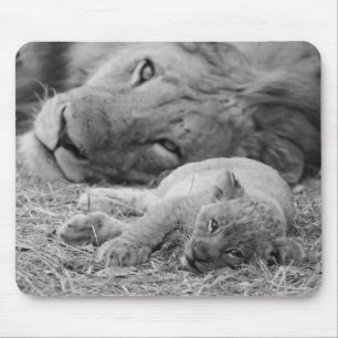 Cute Lion Cub Resting With Father Mouse Pad