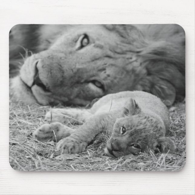 Cute Lion Cub Resting With Father Mouse Pad (Front)