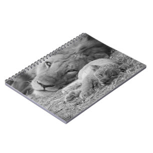 Cute Lion Cub Resting With Father Notebook