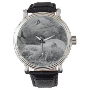 Cute Lion Cub Resting With Father Watch