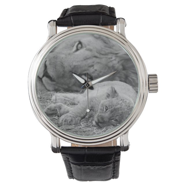 Cute Lion Cub Resting With Father Watch (Front)