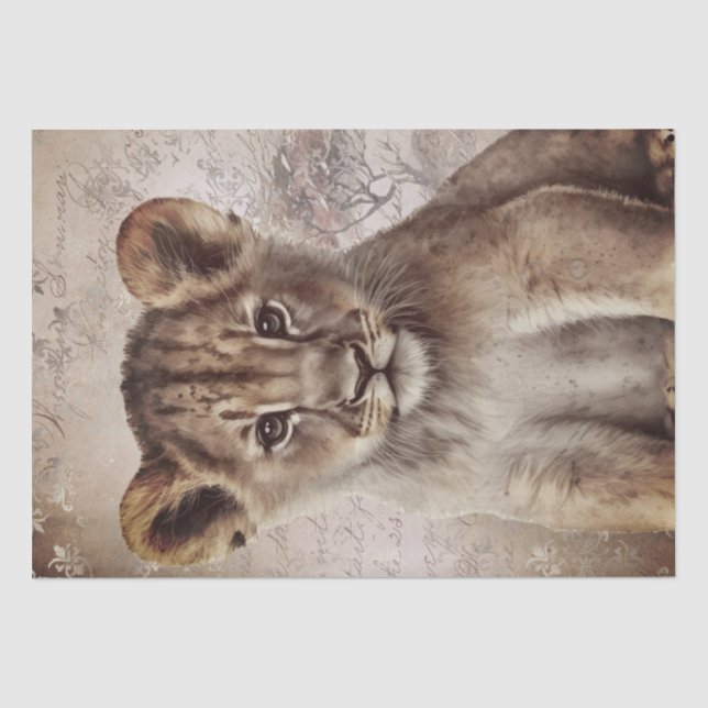 Cute Lion Cub Tissue Paper (Front)