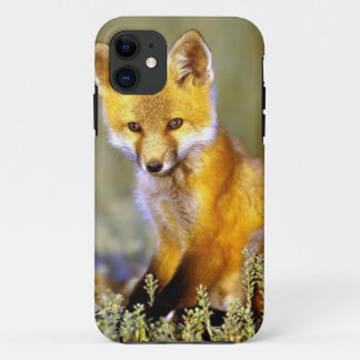 cute little baby red fox iPhone 11 case