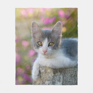 Cute Little Bicolor Kitten Fluffy Photo Cat Lovers Fleece Blanket
