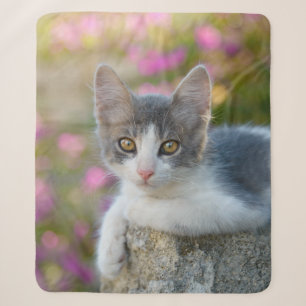 Cute Little Bicolor Kitten Fluffy Photo Cat Lovers Sherpa Blanket
