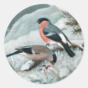 Cute little bird- Bullfinch, Art Classic Round Sticker