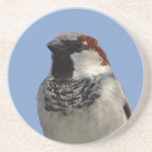 Cute little bird coaster