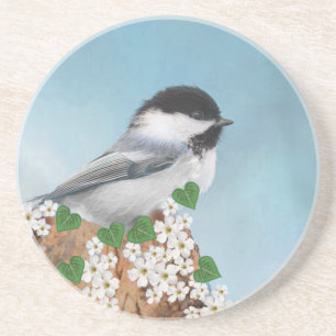Cute little bird & flowers on sky blue coaster