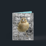 Cute Little Birdie Happy Birthday Customize Card<br><div class="desc">This cute little chaffinch was happy to pose and have his photo taken for this card! They live in the Leicestershire countryside.

All text on this card can be personalized,  suitable for a male or female of any age.</div>