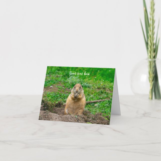 Cute Little Black-Tailed Prairie Dog Thank You Card (Front)
