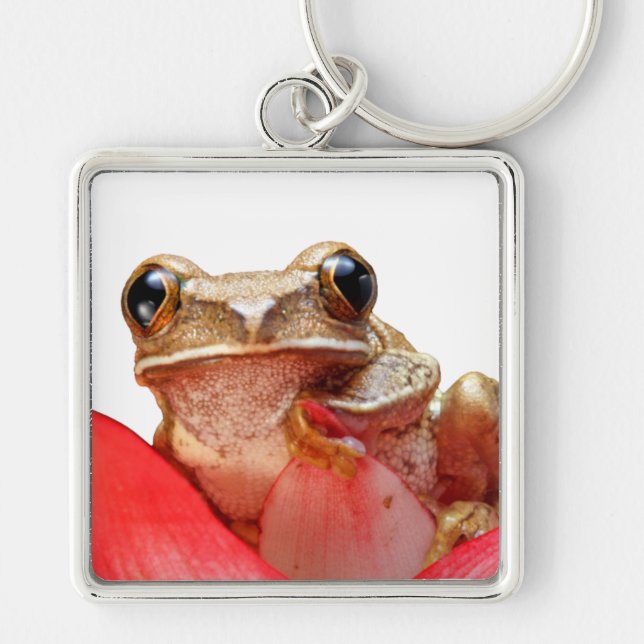 Cute Little Brown Marbled Reed Frog Red Flower Key Ring (Front)