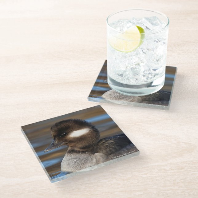 Cute Little Bufflehead Duck on Sunlit Waters Glass Coaster (Angled)