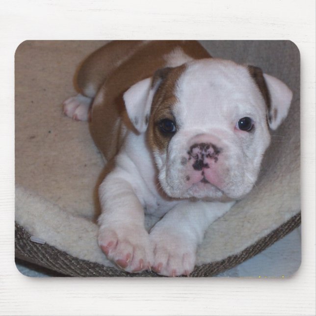 Cute Little Bulldog Puppy Mousepad (Front)
