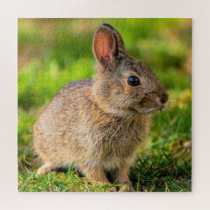 Cute Little Bunny - Jigsaw Puzzle