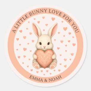 Cute Little Bunny Love with Heart on Soft Blush Classic Round Sticker