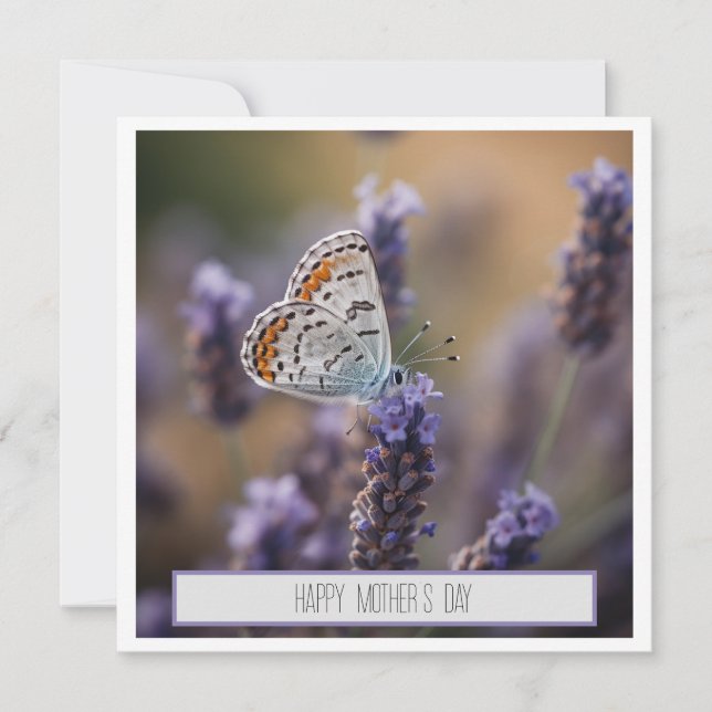 Cute little butterfly on lavender customisable (Front)