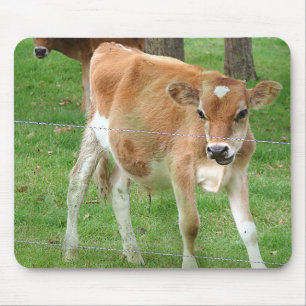 Cute Little Calf Mouse Pad