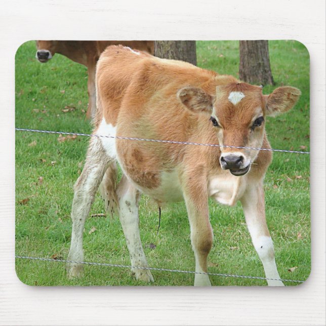 Cute Little Calf Mouse Pad (Front)