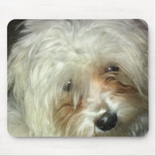 Cute Little Casper Mouse Pad