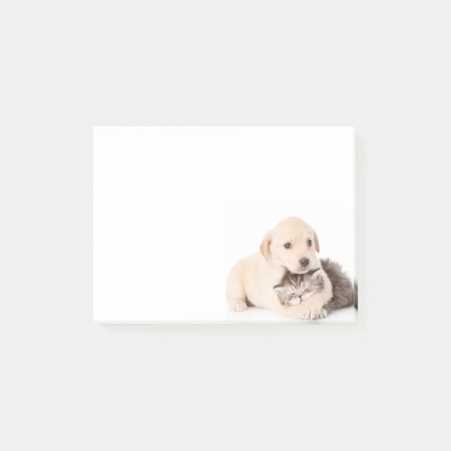 cute little cat sleeps in dog's hands post-it notes (Front)