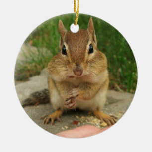 Cute Little Cheeky Chipmunk Ceramic Tree Decoration