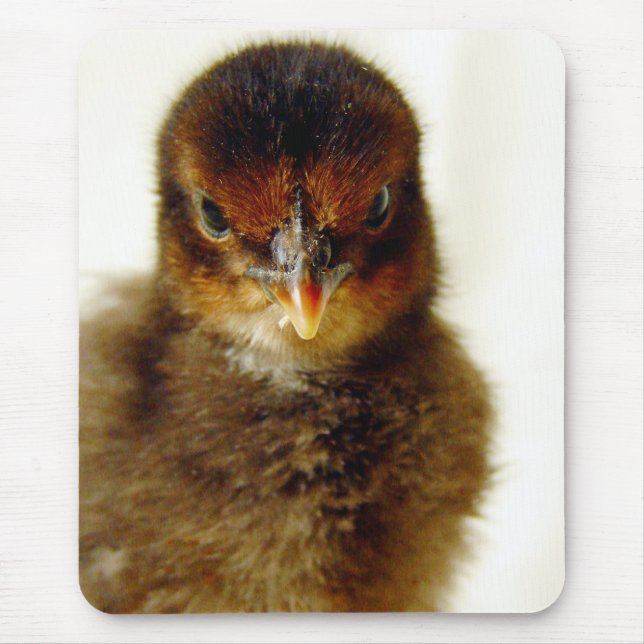 Cute Little Chick Mouse Pad (Front)