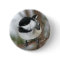 Cute Little Chickadee