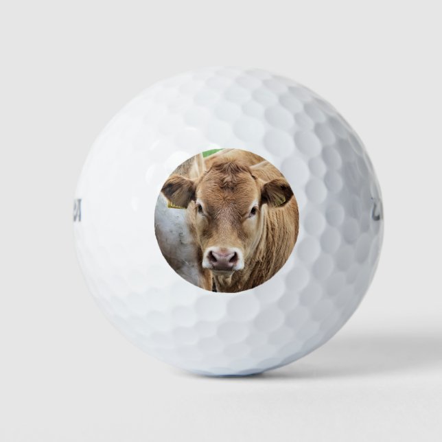 CUTE LITTLE COW GOLF BALLS (Front)