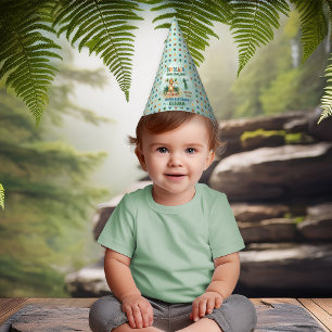 Cute Little Dinosaur Boy 1st Birthday Party Party Hat