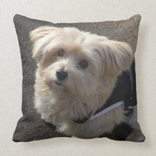 Cute little Dog Throw Pillow