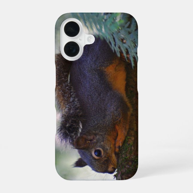 Cute Little Douglas Squirrel Wildlife Photo iPhone 16 Case (Back)