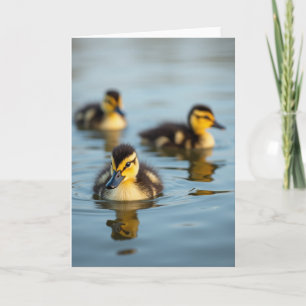 Cute Little Duckling Photo Card