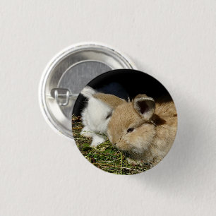 Cute little fluffy bunnies 3 cm round badge