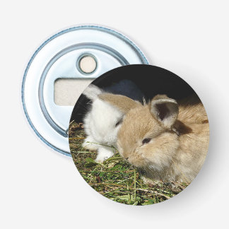 Cute little fluffy bunnies    bottle opener