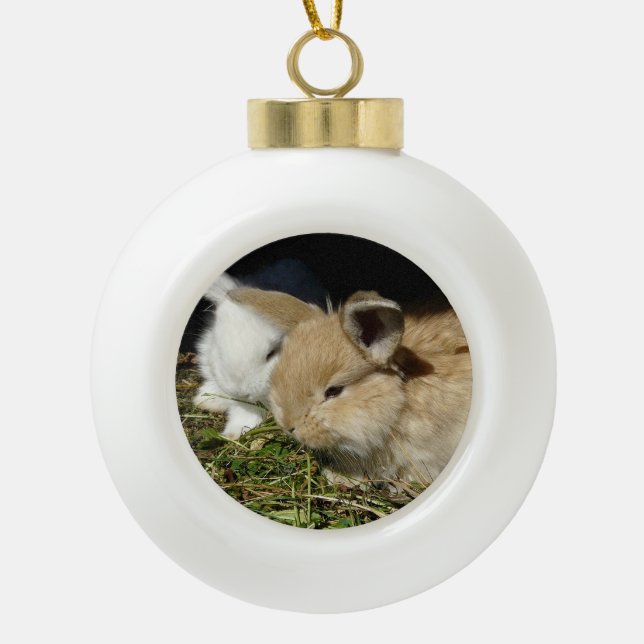 Cute little fluffy bunnies     ceramic ball christmas ornament (Front)